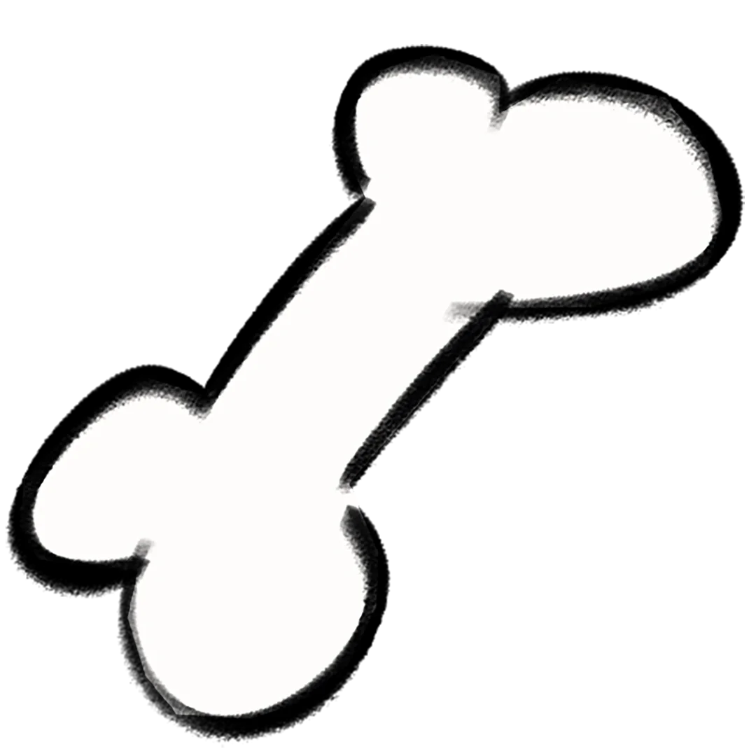 2D Bone Chew Toy
