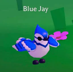 Blue Jay, an Adopt Me NPC