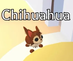 Chihuahua, an Adopt Me NPC