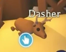 Dasher, an Adopt Me NPC
