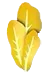Golden Lettuce, an Adopt Me food item