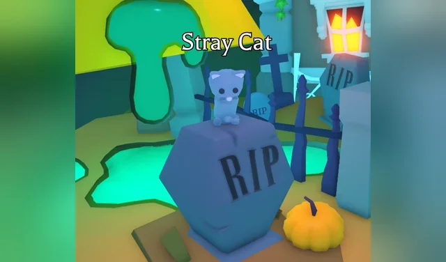 Feed Stray Cat in the Halloween Event (2026)