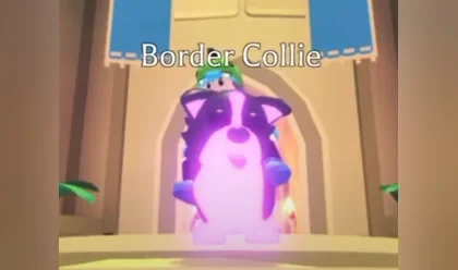 A Mega Neon Border Collie in Adopt Me