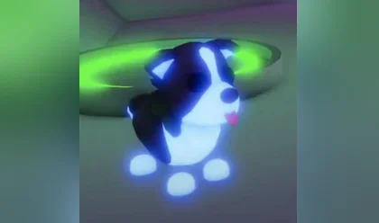A Neon Border Collie in Adopt Me
