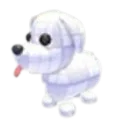 Practice Dog