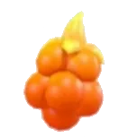 Sparkling Blaze Berry, an Adopt Me food item