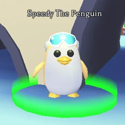 Speedy The Penguin, an Adopt Me NPC