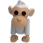 Albino Monkey