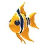 Angelfish