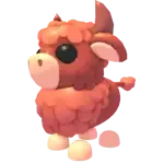 Angus Bull
