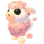 Angus Cow