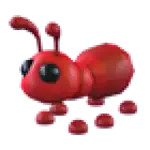 Ant