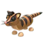 Banded Palm Civet