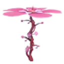 Blossom Propeller in the Cherry Blossom Festival (2025)