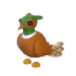 Brown-Chested Pheasant