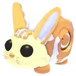 Bunny Swirl