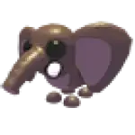 Bush Elephant