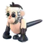Capuchin Monkey