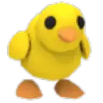 Chick