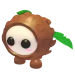 Coconut Friend