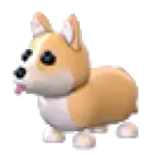 Corgi