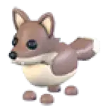 Coyote