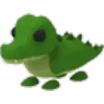 Crocodile