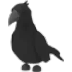 Crow