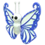 Diamond Butterfly