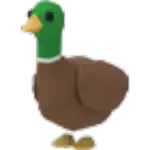 Drake