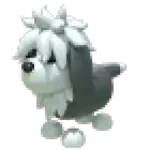 English Sheepdog