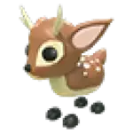 Fallow Deer