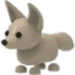 Fennec Fox