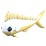 Gold Mahi Mahi