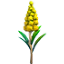 Goldenrod Flower in Adopt Me