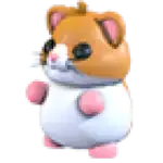 Hamster