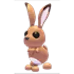 Hare