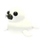 Harp Seal
