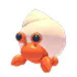 Hermit Crab