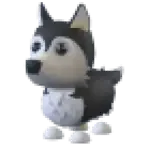 Husky