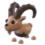 Ibex