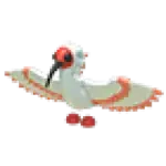 Ibis