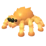 Jumping Spider