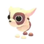 Kid Goat
