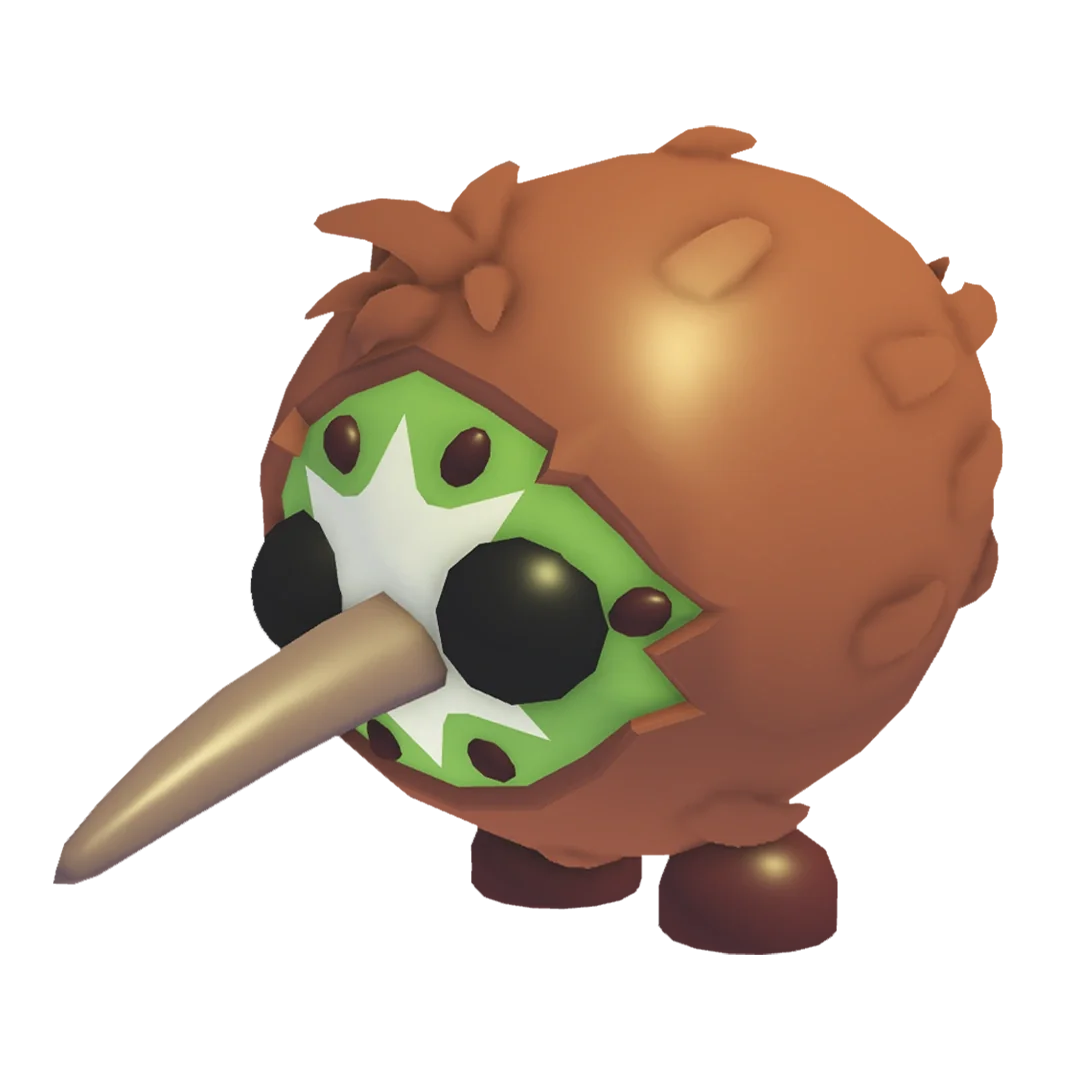 Kiwi Kiwi
