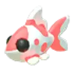 Koi Carp