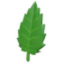 Leaf in Adopt Me