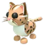 Leopard Cat