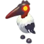 Marabou Stork