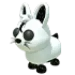 Moon Rabbit